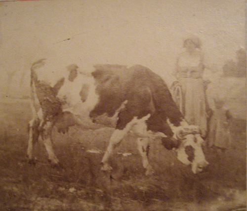 Vache et fermière par Georges Paul François Laurent Laugée