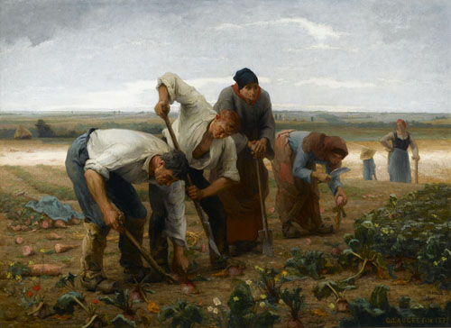 La récolte des betteraves par Georges Paul François Laurent Laugée